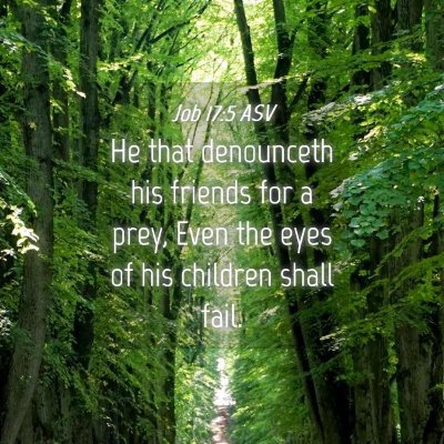 Picture 04 - Job 17:5 ASV - He that denounceth his friends for a prey, Even - Bible Verse Picture