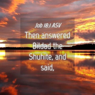 Picture 04 - Job 18:1 ASV - Then answered Bildad the Shuhite, and - Bible Verse Picture