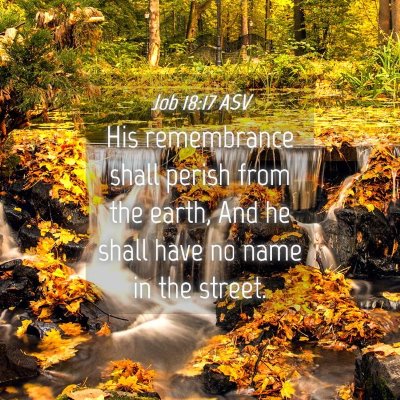 Picture 04 - Job 18:17 ASV - His remembrance shall perish from the earth, And - Bible Verse Picture