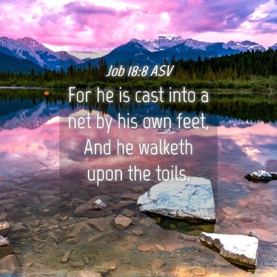 Picture 04 - Job 18:8 ASV - For he is cast into a net by his own feet, And he - Bible Verse Picture