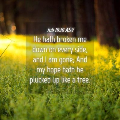 Picture 04 - Job 19:10 ASV - He hath broken me down on every side, and I am - Bible Verse Picture