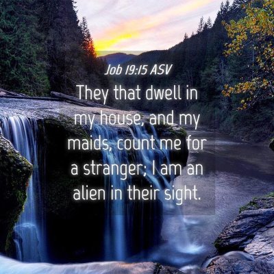 Picture 04 - Job 19:15 ASV - They that dwell in my house, and my maids, count - Bible Verse Picture