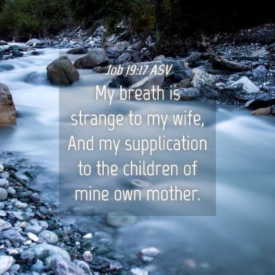 Picture 04 - Job 19:17 ASV - My breath is strange to my wife, And my - Bible Verse Picture