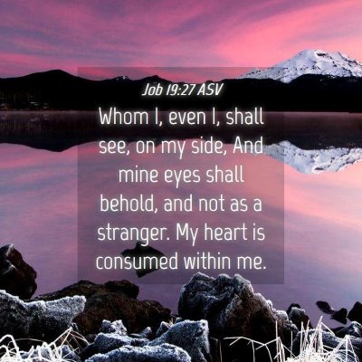 Picture 04 - Job 19:27 ASV - Whom I, even I, shall see, on my side, And mine - Bible Verse Picture