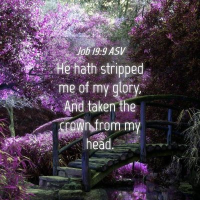 Picture 04 - Job 19:9 ASV - He hath stripped me of my glory, And taken the - Bible Verse Picture