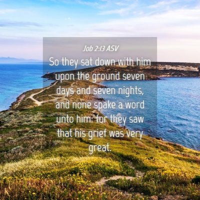 Picture 04 - Job 2:13 ASV - So they sat down with him upon the ground seven - Bible Verse Picture