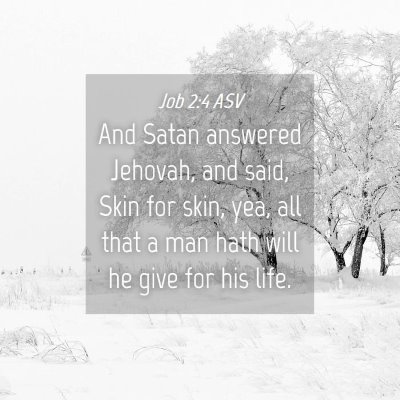 Picture 04 - Job 2:4 ASV - And Satan answered Jehovah, and said, Skin for - Bible Verse Picture