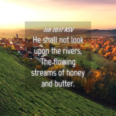 Picture 04 - Job 20:17 ASV - He shall not look upon the rivers, The flowing - Bible Verse Picture