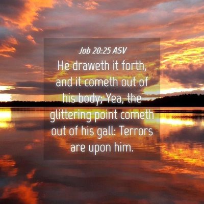 Picture 04 - Job 20:25 ASV - He draweth it forth, and it cometh out of his - Bible Verse Picture