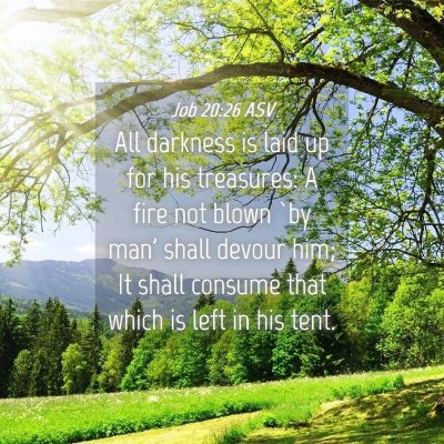 Picture 04 - Job 20:26 ASV - All darkness is laid up for his treasures: A fire - Bible Verse Picture