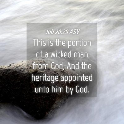 Picture 04 - Job 20:29 ASV - This is the portion of a wicked man from God, And - Bible Verse Picture