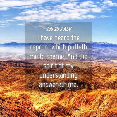 Picture 04 - Job 20:3 ASV - I have heard the reproof which putteth me to - Bible Verse Picture