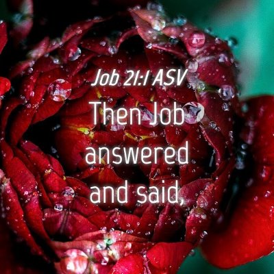 Picture 04 - Job 21:1 ASV - Then Job answered and - Bible Verse Picture