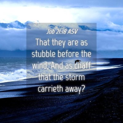 Picture 04 - Job 21:18 ASV - That they are as stubble before the wind, And as - Bible Verse Picture