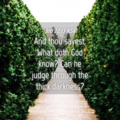Picture 04 - Job 22:13 ASV - And thou sayest, What doth God know? Can he judge - Bible Verse Picture