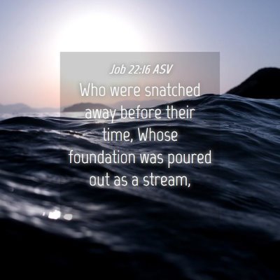 Picture 04 - Job 22:16 ASV - Who were snatched away before their time, Whose - Bible Verse Picture