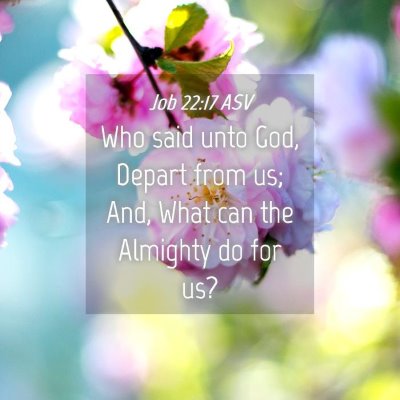Picture 04 - Job 22:17 ASV - Who said unto God, Depart from us; And, What can - Bible Verse Picture