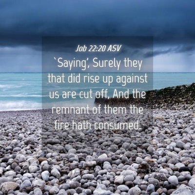 Picture 04 - Job 22:20 ASV - `Saying', Surely they that did rise up against us - Bible Verse Picture