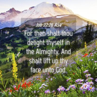 Picture 04 - Job 22:26 ASV - For then shalt thou delight thyself in the - Bible Verse Picture