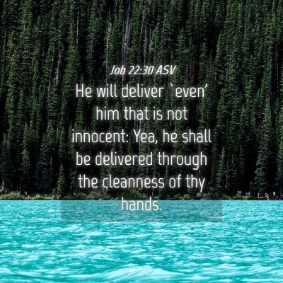 Picture 04 - Job 22:30 ASV - He will deliver `even' him that is not innocent: - Bible Verse Picture