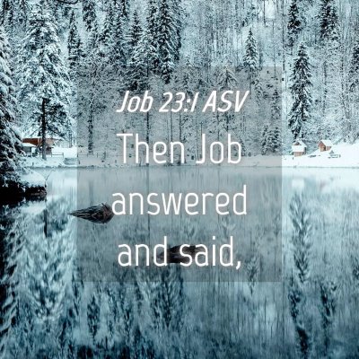 Picture 04 - Job 23:1 ASV - Then Job answered and - Bible Verse Picture