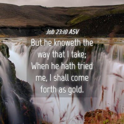 Picture 04 - Job 23:10 ASV - But he knoweth the way that I take; When he hath - Bible Verse Picture
