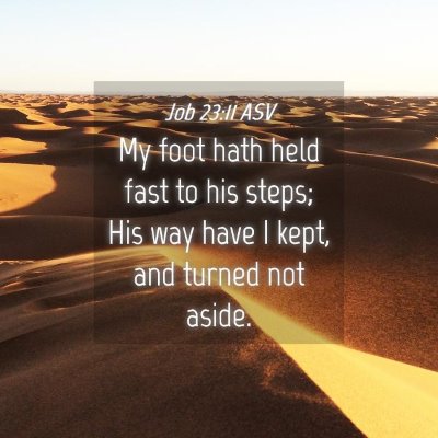 Picture 04 - Job 23:11 ASV - My foot hath held fast to his steps; His way have - Bible Verse Picture