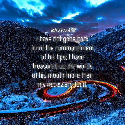 Picture 04 - Job 23:12 ASV - I have not gone back from the commandment of his - Bible Verse Picture