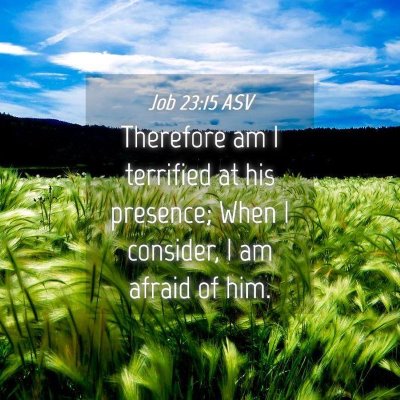 Picture 04 - Job 23:15 ASV - Therefore am I terrified at his presence; When I - Bible Verse Picture