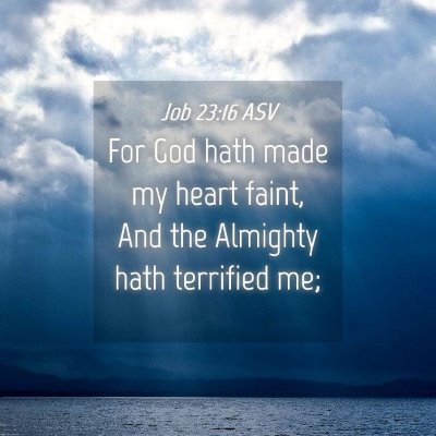 Picture 04 - Job 23:16 ASV - For God hath made my heart faint, And the - Bible Verse Picture