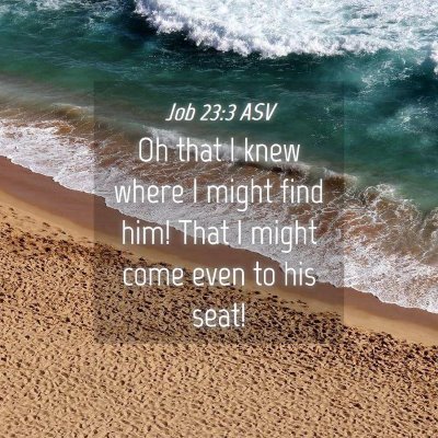 Picture 04 - Job 23:3 ASV - Oh that I knew where I might find him! That I - Bible Verse Picture