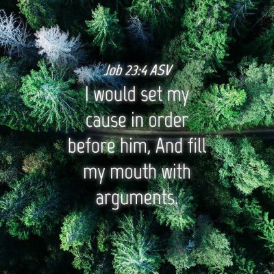 Picture 04 - Job 23:4 ASV - I would set my cause in order before him, And - Bible Verse Picture