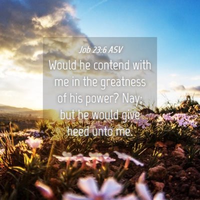 Picture 04 - Job 23:6 ASV - Would he contend with me in the greatness of his - Bible Verse Picture