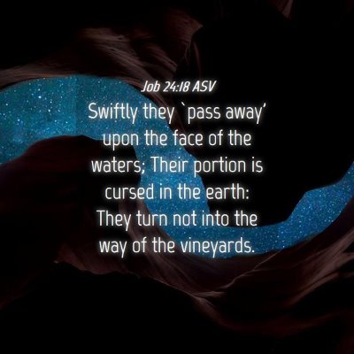 Picture 04 - Job 24:18 ASV - Swiftly they `pass away' upon the face of the - Bible Verse Picture