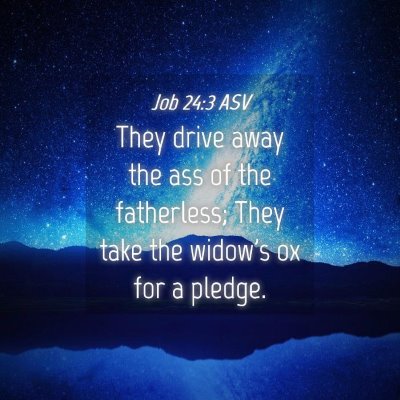 Picture 04 - Job 24:3 ASV - They drive away the ass of the fatherless; They - Bible Verse Picture