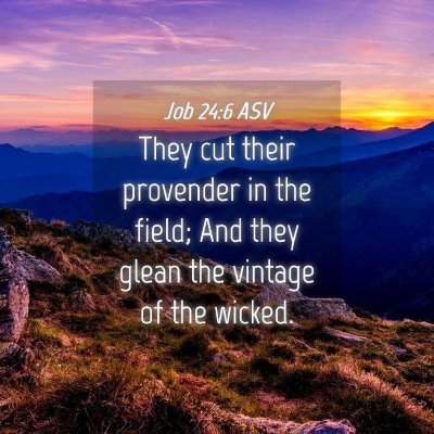 Picture 04 - Job 24:6 ASV - They cut their provender in the field; And they - Bible Verse Picture