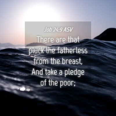 Picture 04 - Job 24:9 ASV - There are that pluck the fatherless from the - Bible Verse Picture