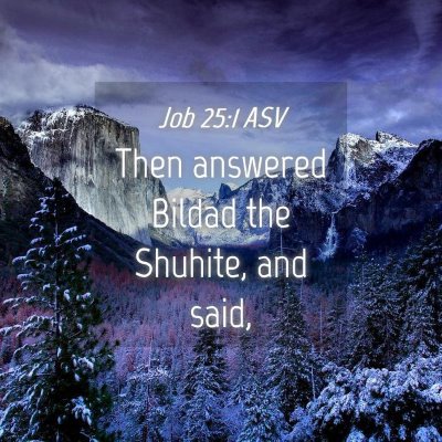 Picture 04 - Job 25:1 ASV - Then answered Bildad the Shuhite, and - Bible Verse Picture