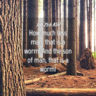 Picture 04 - Job 25:6 ASV - How much less man, that is a worm! And the son of - Bible Verse Picture