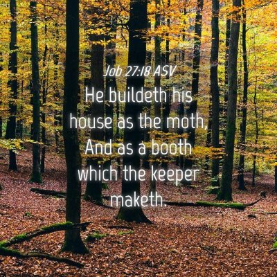 Picture 04 - Job 27:18 ASV - He buildeth his house as the moth, And as a booth - Bible Verse Picture
