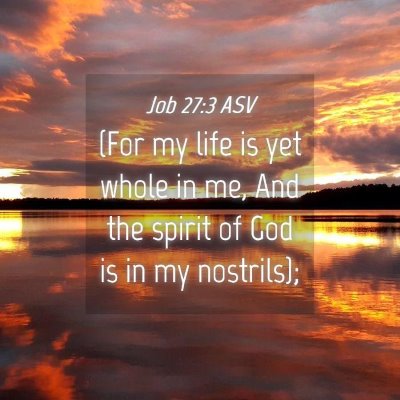 Picture 04 - Job 27:3 ASV - (For my life is yet whole in me, And the spirit - Bible Verse Picture