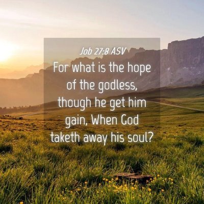 Picture 04 - Job 27:8 ASV - For what is the hope of the godless, though he - Bible Verse Picture