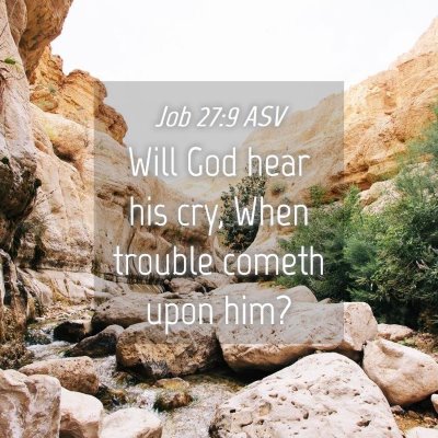 Picture 04 - Job 27:9 ASV - Will God hear his cry, When trouble cometh upon - Bible Verse Picture