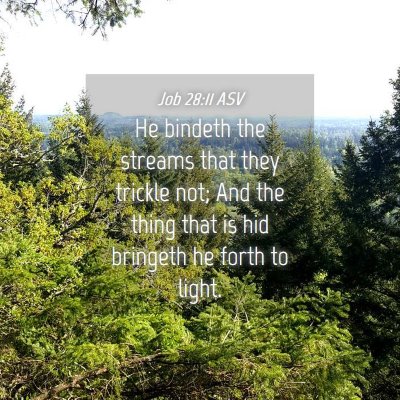 Picture 04 - Job 28:11 ASV - He bindeth the streams that they trickle not; And - Bible Verse Picture