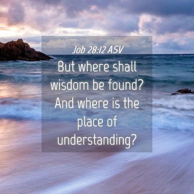 Picture 04 - Job 28:12 ASV - But where shall wisdom be found? And where is the - Bible Verse Picture