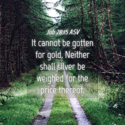 Picture 04 - Job 28:15 ASV - It cannot be gotten for gold, Neither shall - Bible Verse Picture