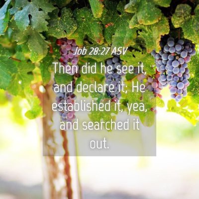 Picture 04 - Job 28:27 ASV - Then did he see it, and declare it; He - Bible Verse Picture