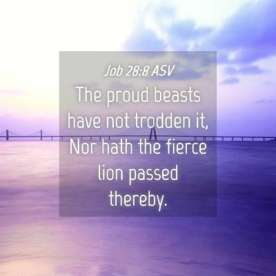 Picture 04 - Job 28:8 ASV - The proud beasts have not trodden it, Nor hath - Bible Verse Picture
