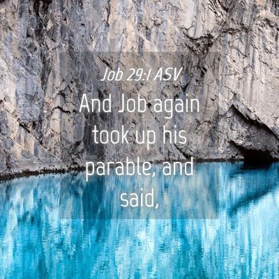 Picture 04 - Job 29:1 ASV - And Job again took up his parable, and - Bible Verse Picture