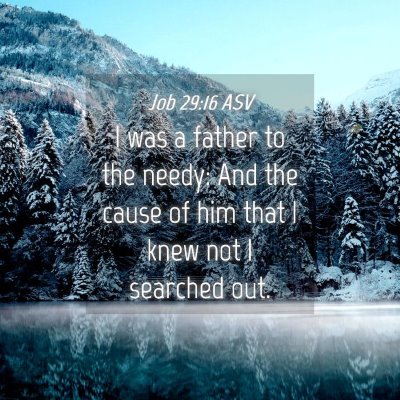 Picture 04 - Job 29:16 ASV - I was a father to the needy: And the cause of him - Bible Verse Picture